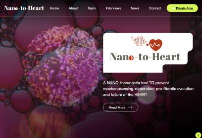 Nano to heart